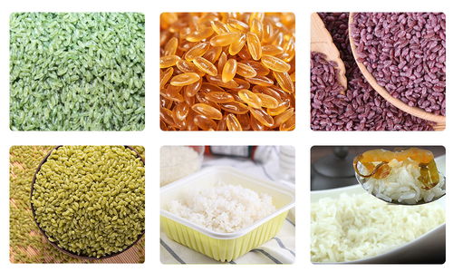 人造大米加工设备 速食米机 营养米挤出机
