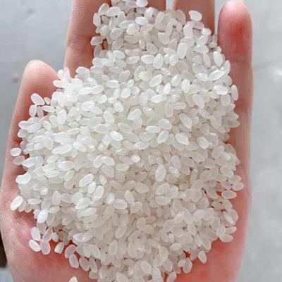 正宗圆粒珍珠包装10kg一级粳米工厂直发大米