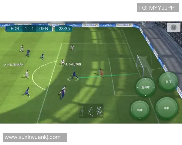 纵览绿茵传奇纵横赛场的世界足球球星冠军荣耀全记录